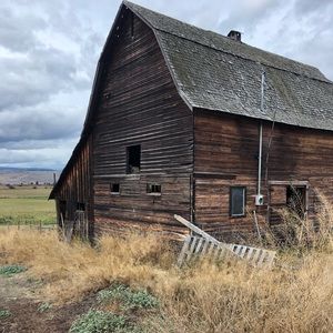 Meet your Posher, Carolyn